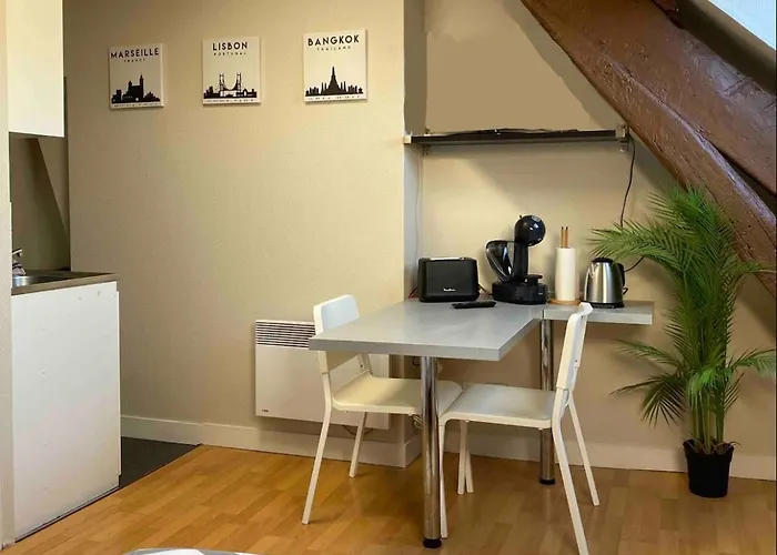 Studio Renove Gare Dijon